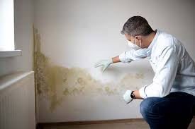 Best Mold Prevention Services in Evansdale, IA